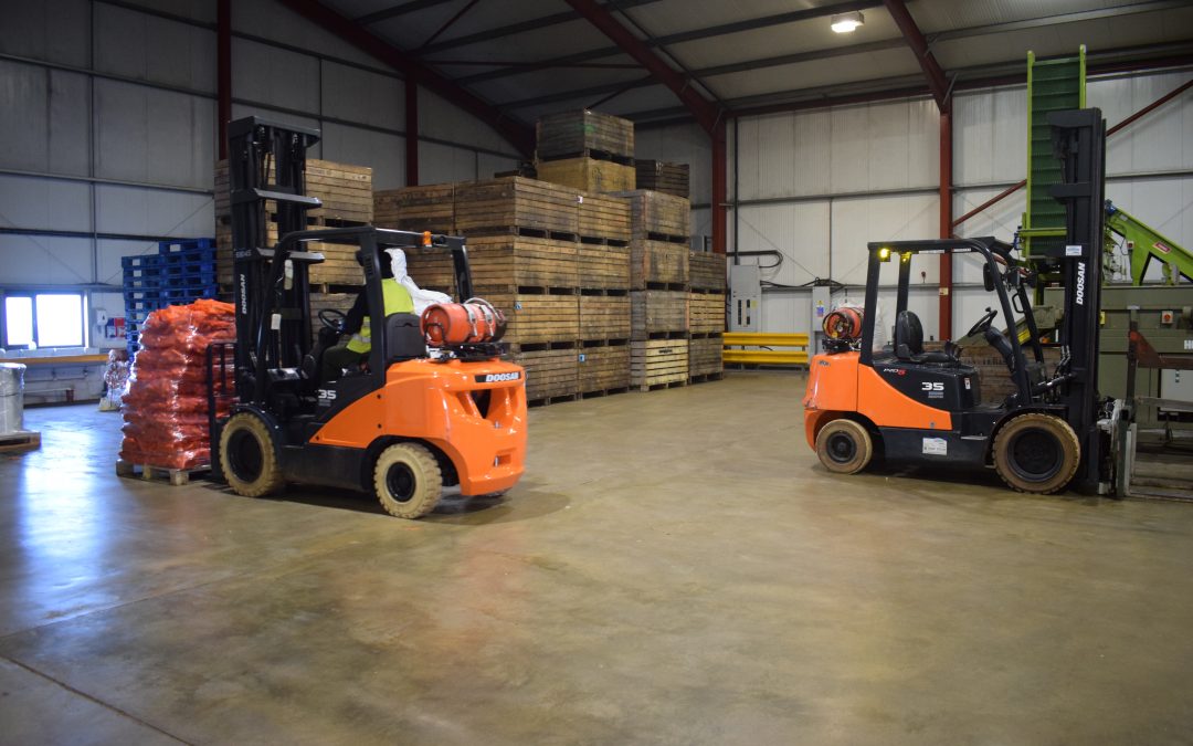 Hire Archives | Doosan Forklifts UK